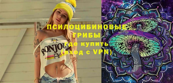 молекула духа Алексеевка