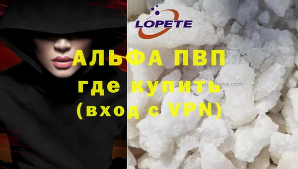 стафф Алексин