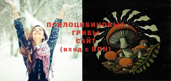 стафф Алексин