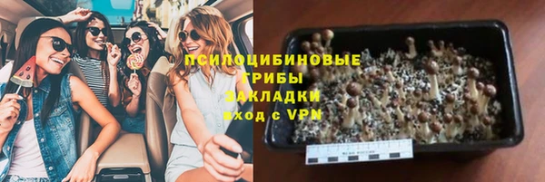стафф Алексин