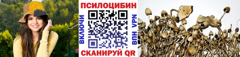 Псилоцибиновые грибы Magic Shrooms  KRAKEN ТОР  Полярные Зори 